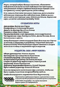 Gra planszowa - Słoneczna dolina. Gra karciana